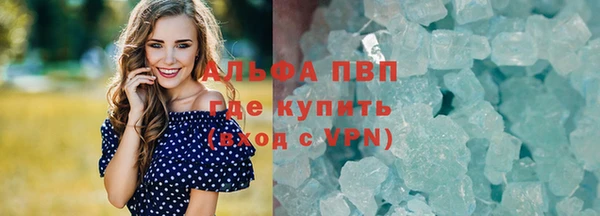 apvp Алзамай
