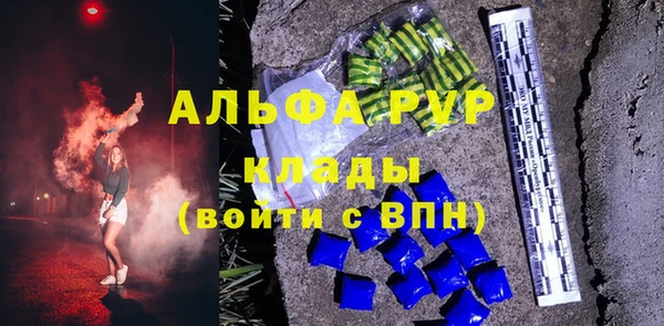 стаф Алексин