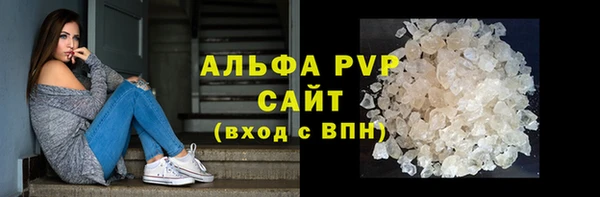 стаф Алексин