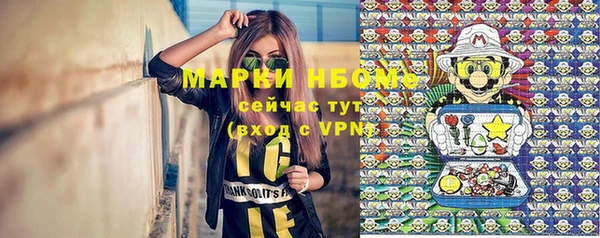 apvp Алзамай