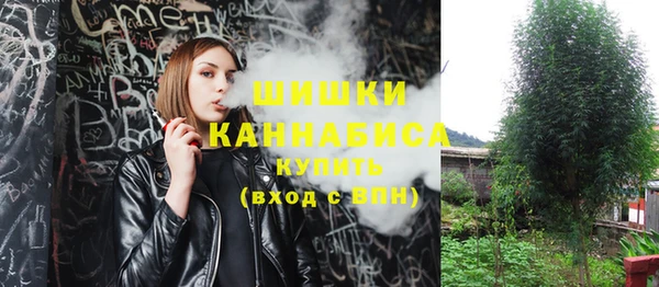 сатива Кодинск