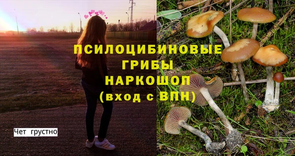 марки lsd Алексеевка