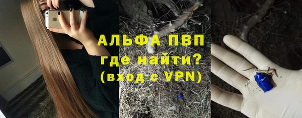 apvp Алзамай